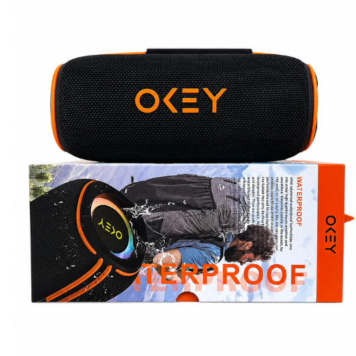 Parlante Bluetooth OKEY 272BTS 30 W